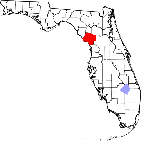 File:Levy County Florida.png