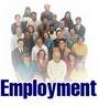 Employment.jpg