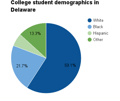 Delaware college student demographics.png