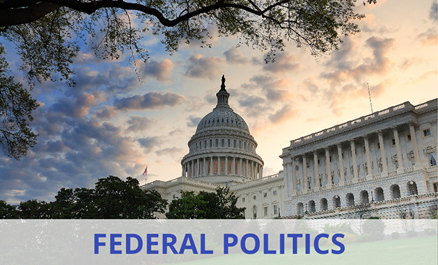 File:Federal Politics Image-Word Overlay.jpg
