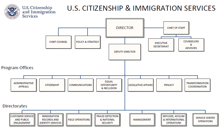 File:USCIS chart.png