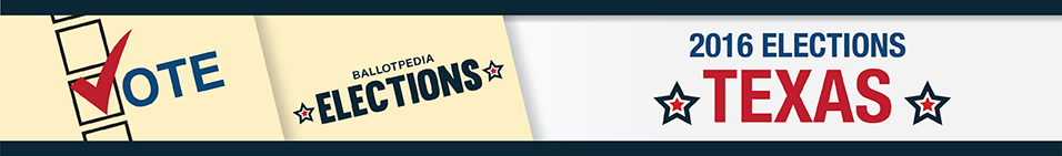 Texas election banner 2016.jpg