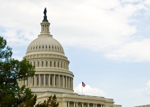 File:United States Capitol Building-Washington DC.jpg