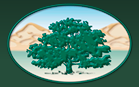 Murrita Valley Unified School District seal.png
