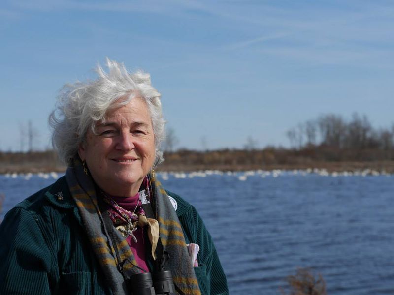 File:Anne Fischer.jpg