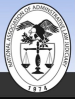 NAALJ Logo.png