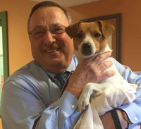 LePage-puppy.png