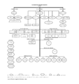 Thumbnail for version as of 21:36, 8 March 2023