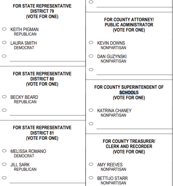 File:Partisan-nonpartisan-MTsampleballotexample.png