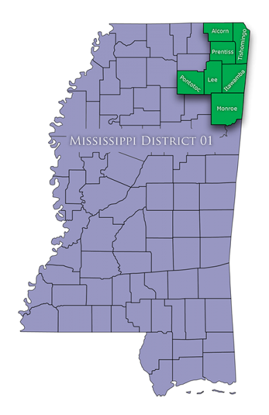 File:Mississippi District-01-01.png