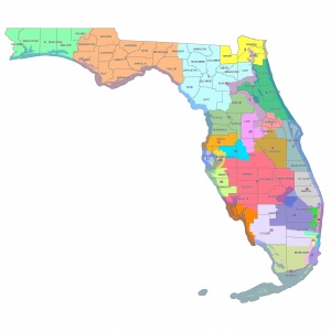 This is the approved congressional map using the 2010 Census.