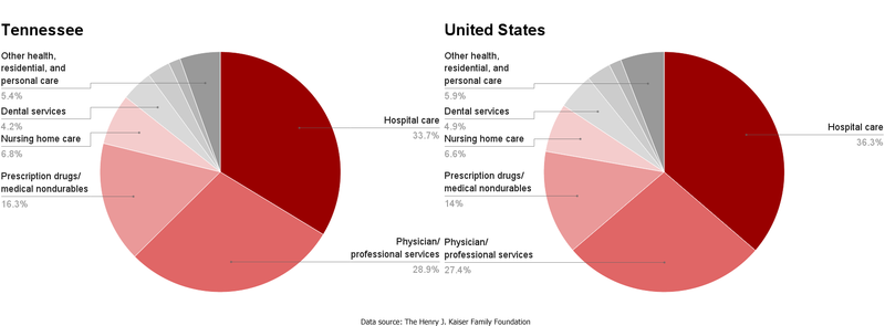 File:TN-US healthcare spending by service.png