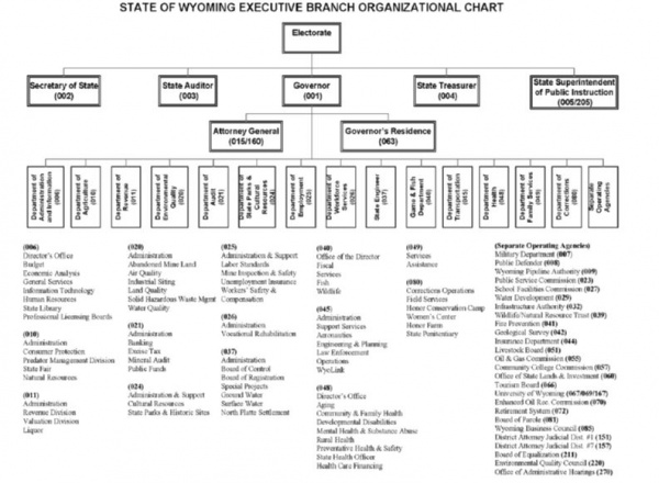 WY exec org chart.JPG