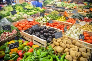 SNAP work requirements reform proposals