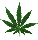 Marijuana Leaf-smaller.gif