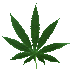 Marijuana Leaf-smaller.gif