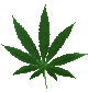 Marijuana Leaf-smaller.gif