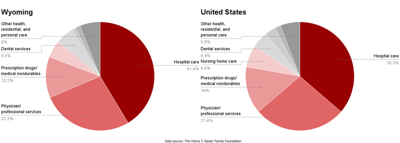 File:WY-US healthcare spending by service.png
