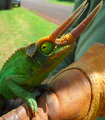 Thumbnail for version as of 17:39, 23 December 2014