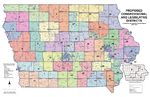 This map shows the 2010 Senate and House districts as approved. Each Senate district is divided into two house districts, as noted by the blue lines.