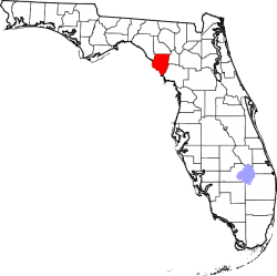 Dixie County Florida.png