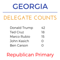 Georgia super tuesday rep delegates.png
