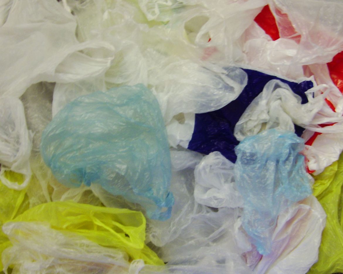 Fact check/Do bag taxes induce shoppers to bring reusable bags and get