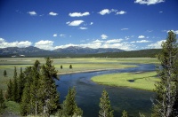 Yellowstone River.jpg
