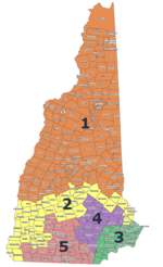 NHexeccouncildistricts.png