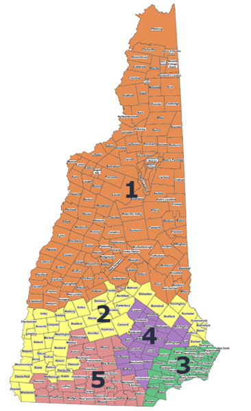 File:NHexeccouncildistricts.png