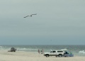 Thumbnail for version as of 23:02, 2 November 2009