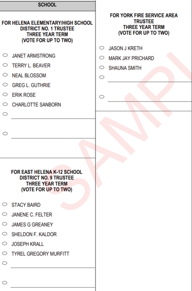 File:NonpartisanonlyMTsampleballotexample.png