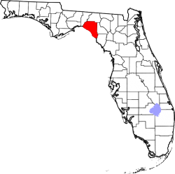 Taylor County Florida.png
