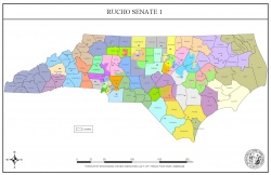 This map shows the proposed North Carolina State Senate districts.