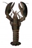 A Lobster