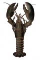 Thumbnail for version as of 18:00, 27 July 2012