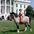 Macaroni Kennedy.png
