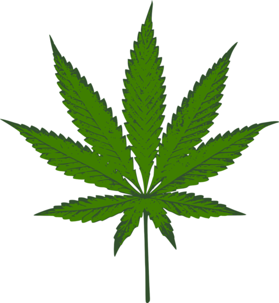 File:Cannabis sativa leaf.png