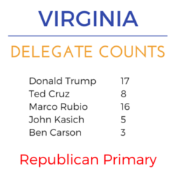Virginia super tuesday rep delegates.png