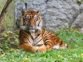 Thumbnail for version as of 16:22, 14 May 2012