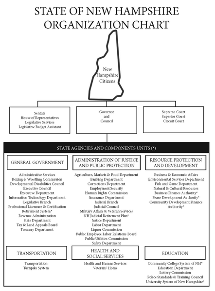 File:OrganizationChart NH 2020.png