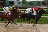 Horse race.jpg