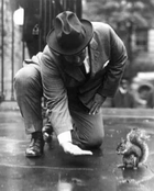 Pete Harding Squirrel.png