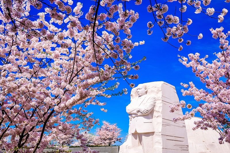 File:MLK Memorial.jpeg