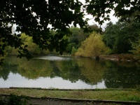 Potomac fish pond.jpg