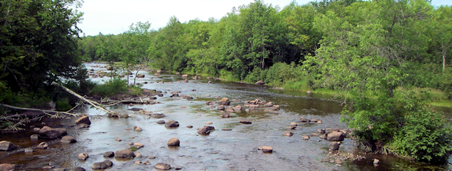 Wisconsin natural resource department considers elimination of science bureau
