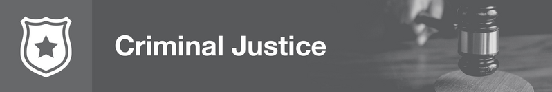File:Criminal Justice Banner Gray.png