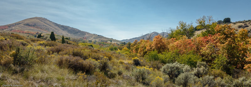 File:City Creek Idaho.jpg