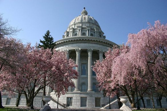 Missouri state capitol (Verbatim).jpg