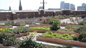 Example of a green roof taken from the DenverGreenRoof website